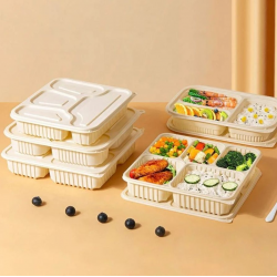 Restaurant Disposable Biodegradable Takeaway Food Container Packaging Cornstarch Lunch Box