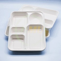 Top Quality And Good Price white disposable business 5 compartment lunch box eco-friendly container for party